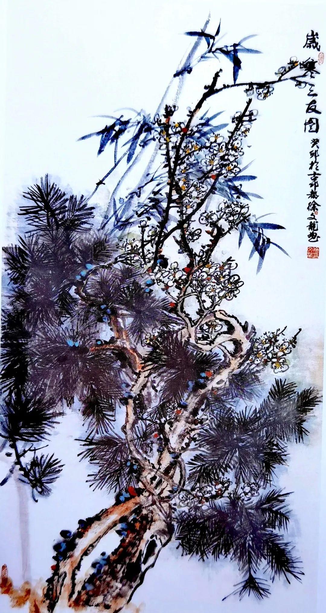 图片