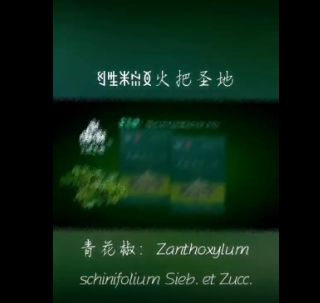 1697824553785.png